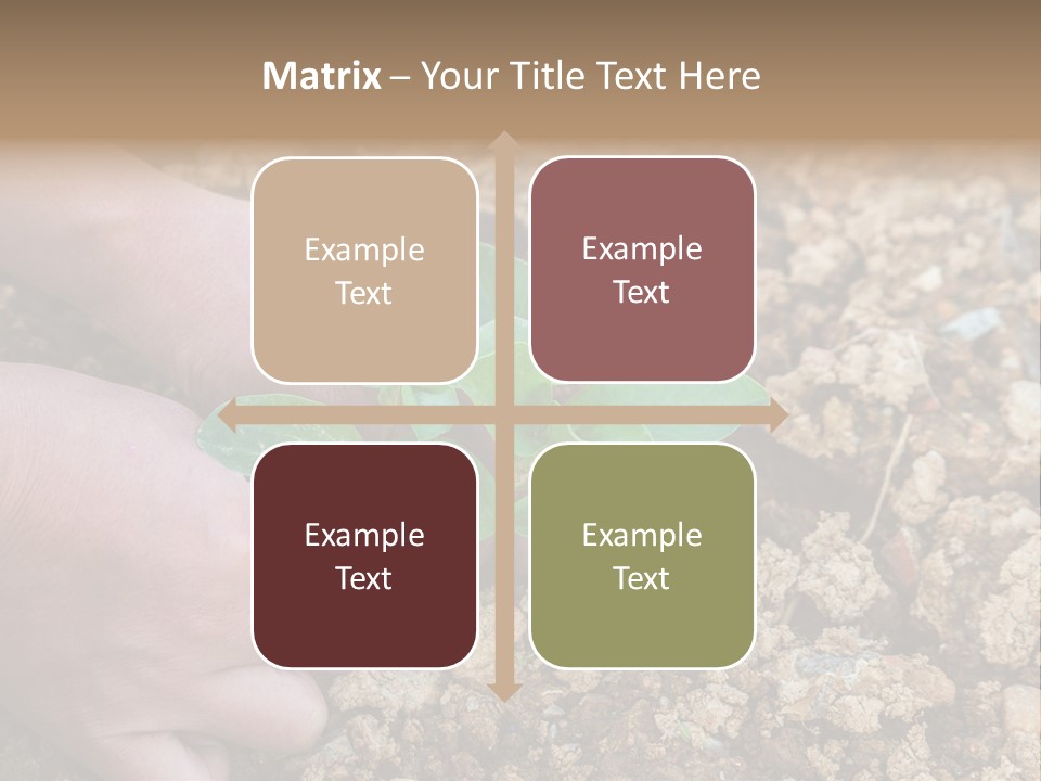 Food Tender Growth PowerPoint Template
