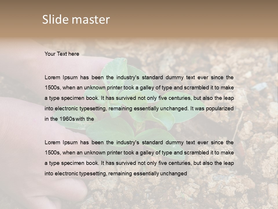 Food Tender Growth PowerPoint Template