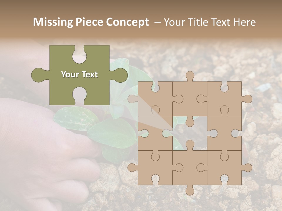 Food Tender Growth PowerPoint Template