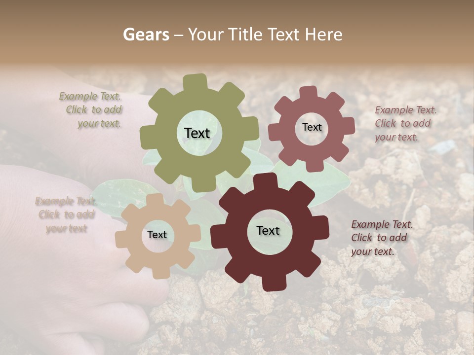 Food Tender Growth PowerPoint Template