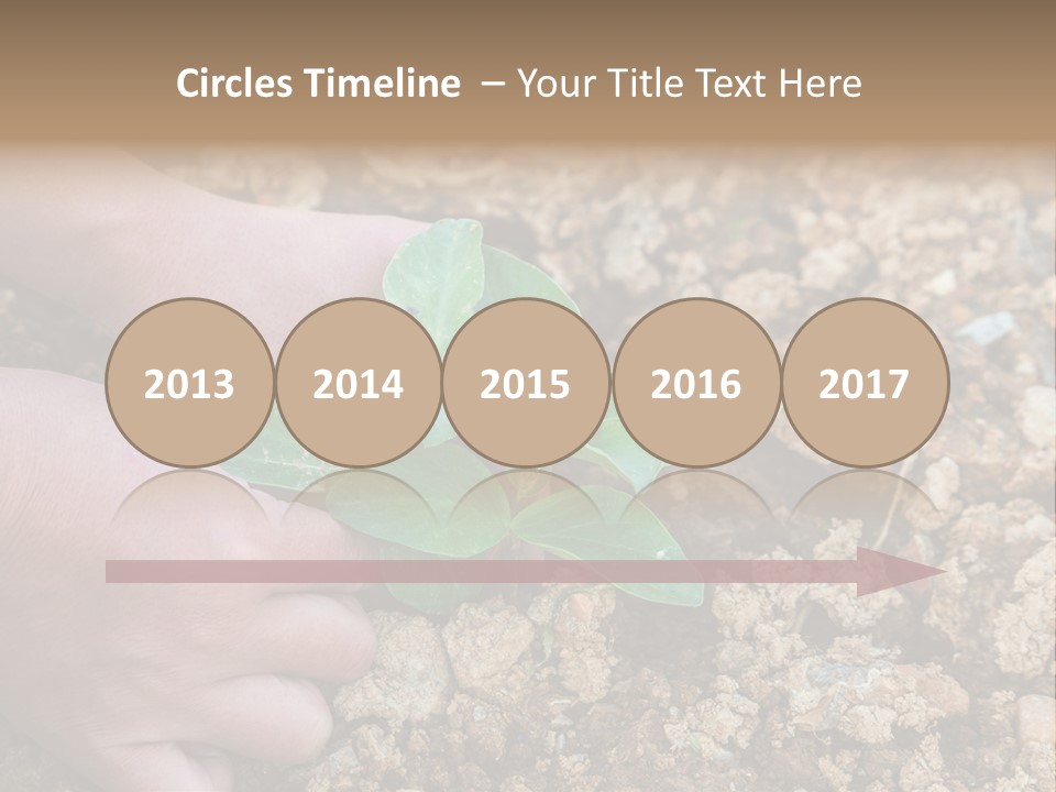 Food Tender Growth PowerPoint Template