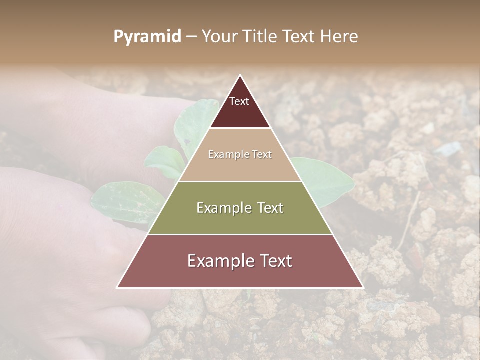 Food Tender Growth PowerPoint Template