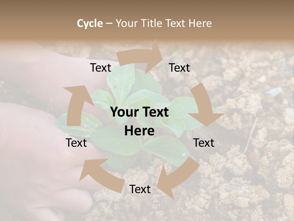 Food Tender Growth PowerPoint Template