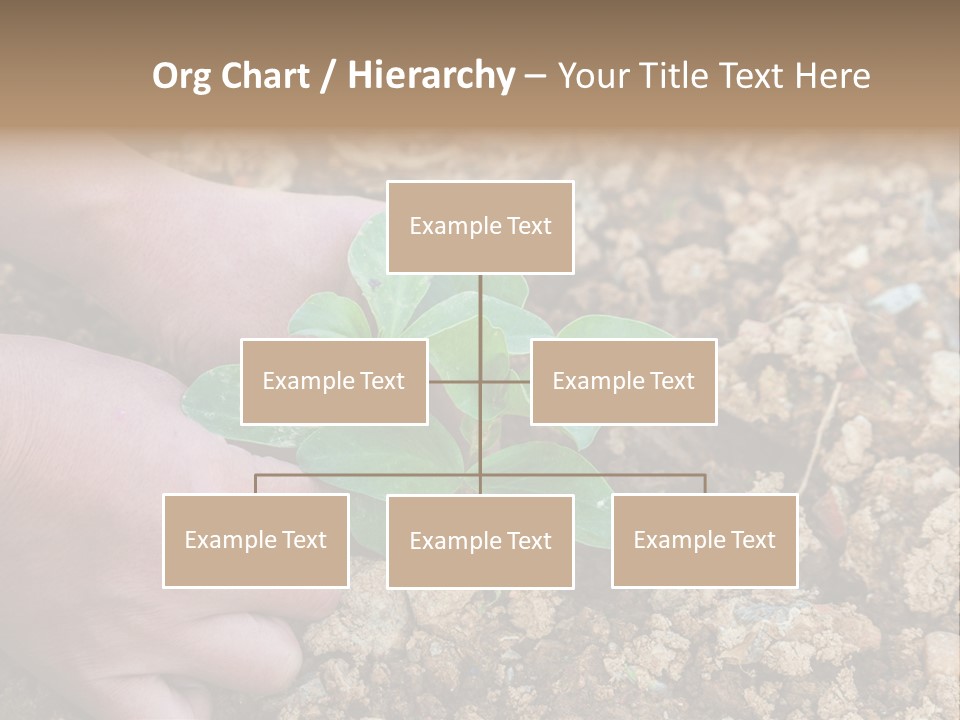 Food Tender Growth PowerPoint Template