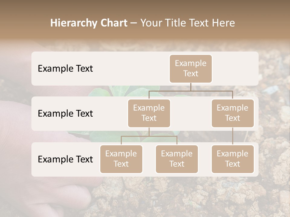 Food Tender Growth PowerPoint Template