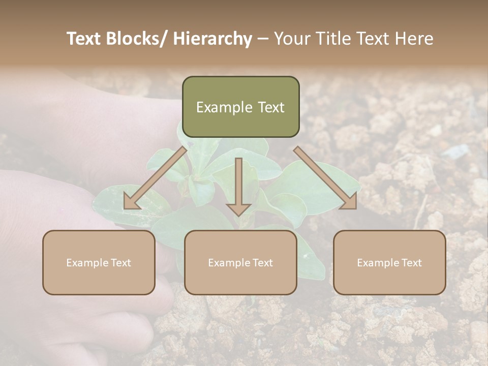 Food Tender Growth PowerPoint Template