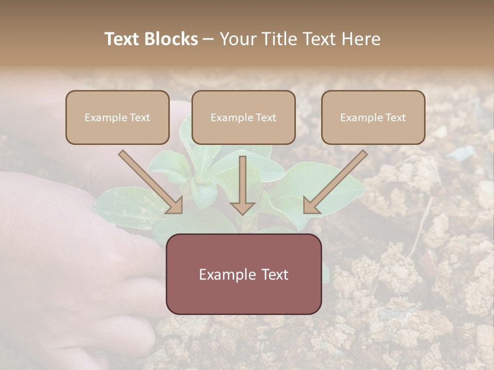 Food Tender Growth PowerPoint Template