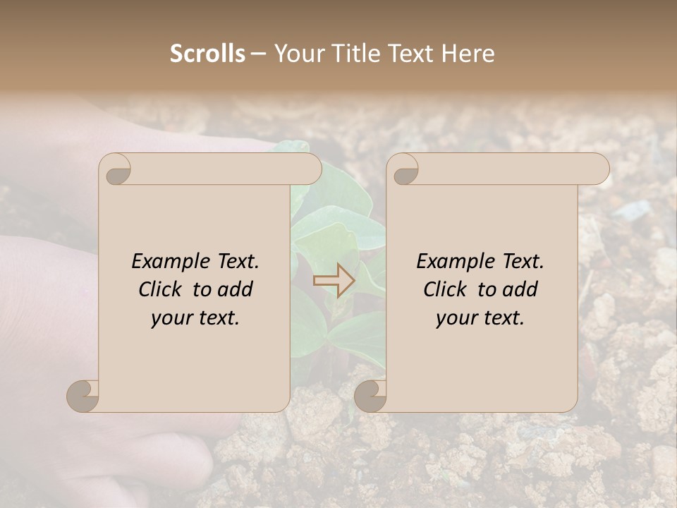 Food Tender Growth PowerPoint Template