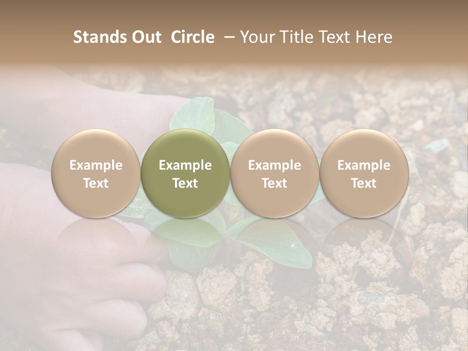 Food Tender Growth PowerPoint Template