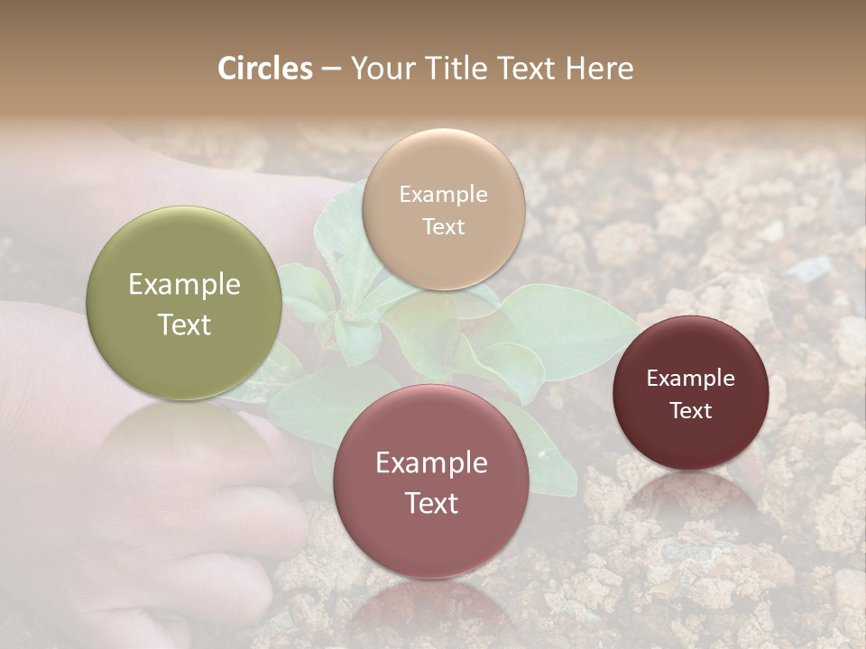 Food Tender Growth PowerPoint Template