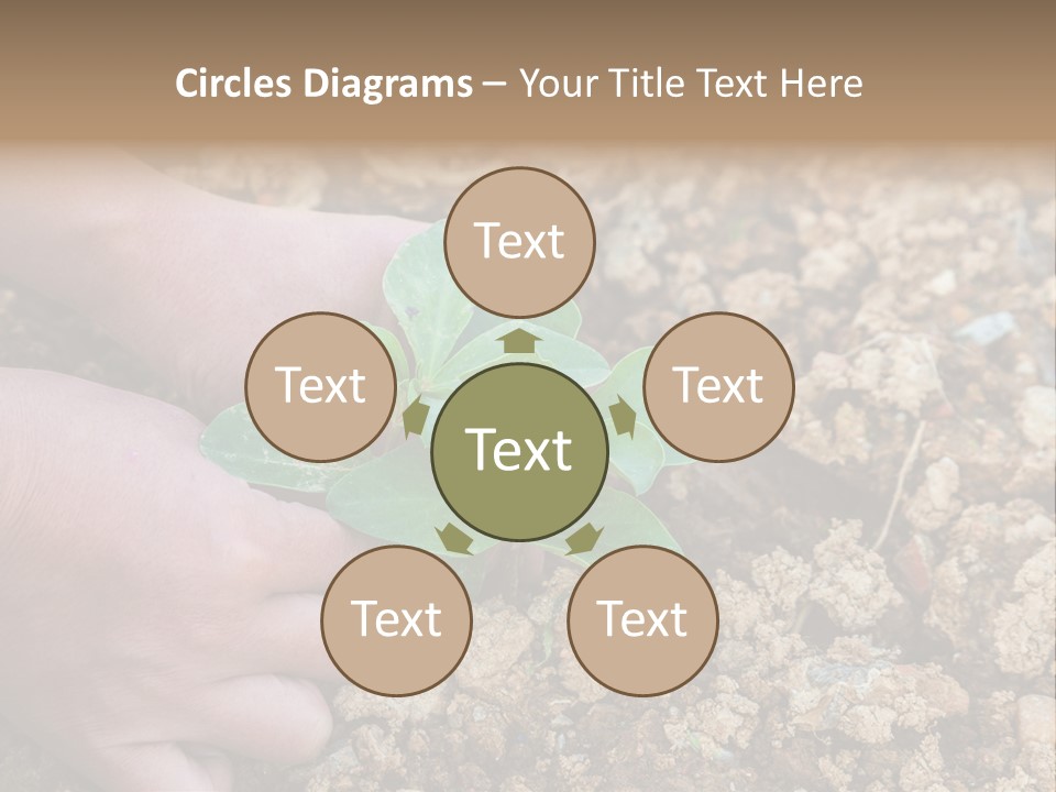 Food Tender Growth PowerPoint Template