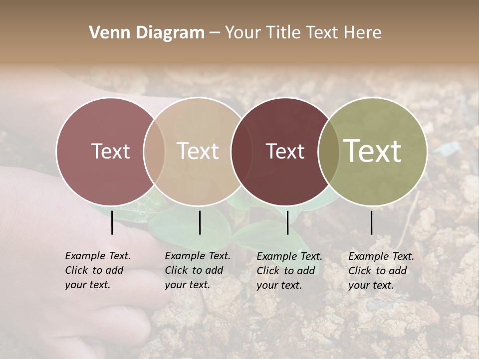 Food Tender Growth PowerPoint Template