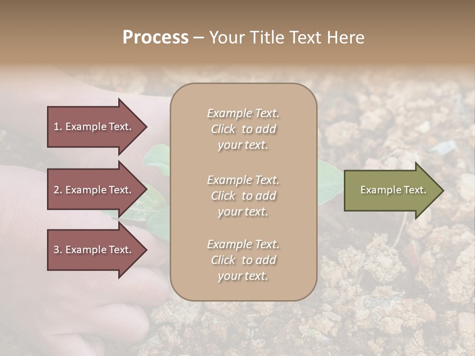 Food Tender Growth PowerPoint Template