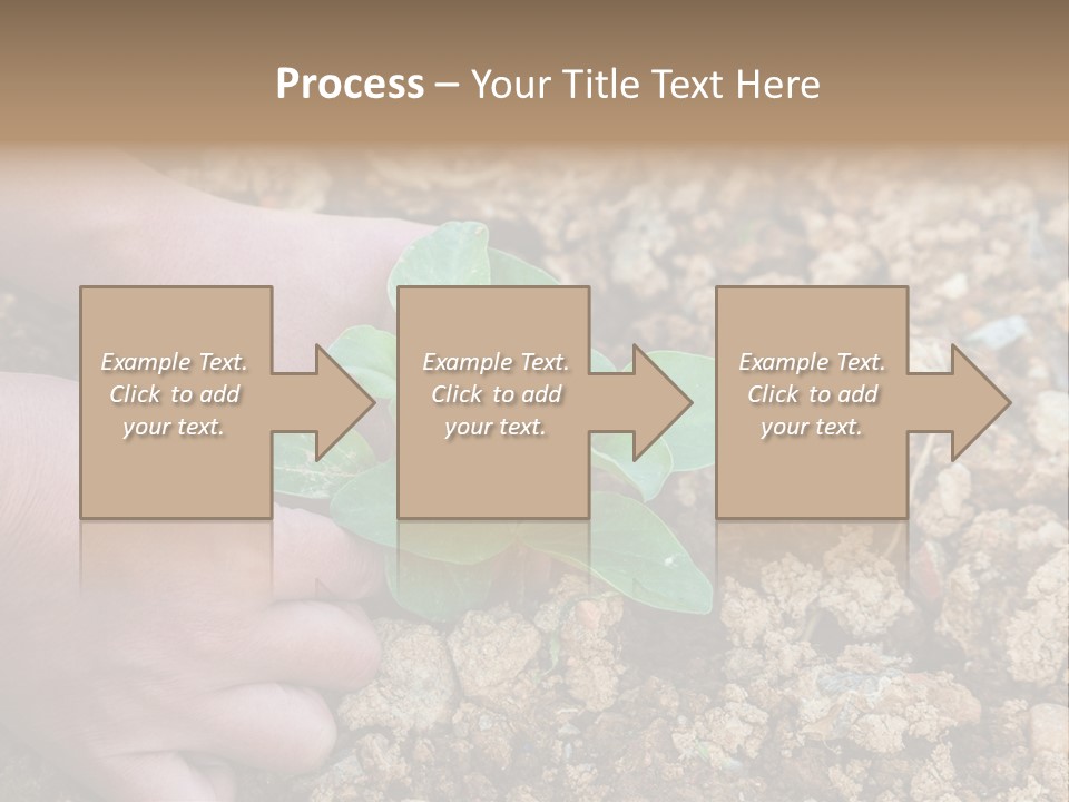 Food Tender Growth PowerPoint Template