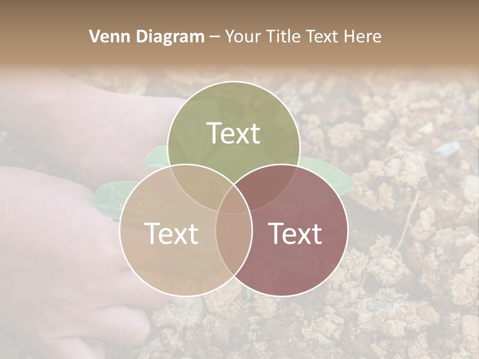 Food Tender Growth PowerPoint Template