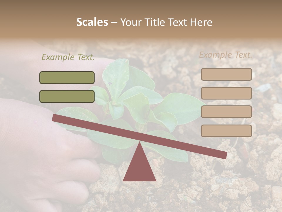 Food Tender Growth PowerPoint Template