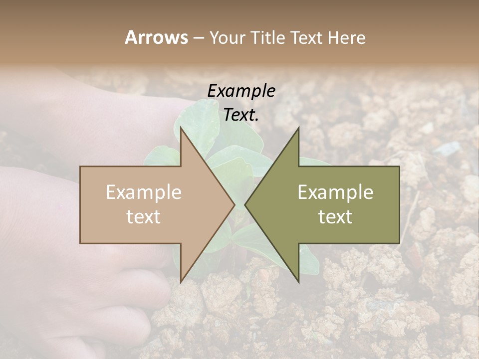Food Tender Growth PowerPoint Template