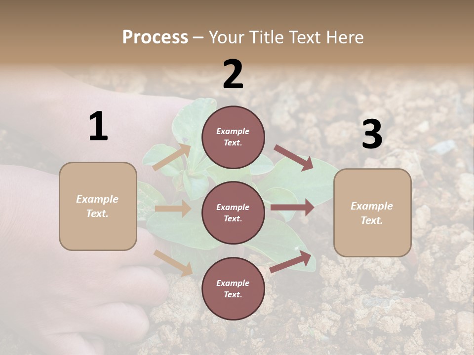 Food Tender Growth PowerPoint Template