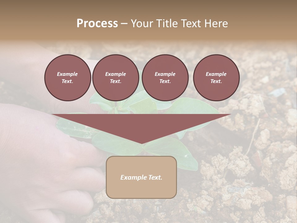 Food Tender Growth PowerPoint Template