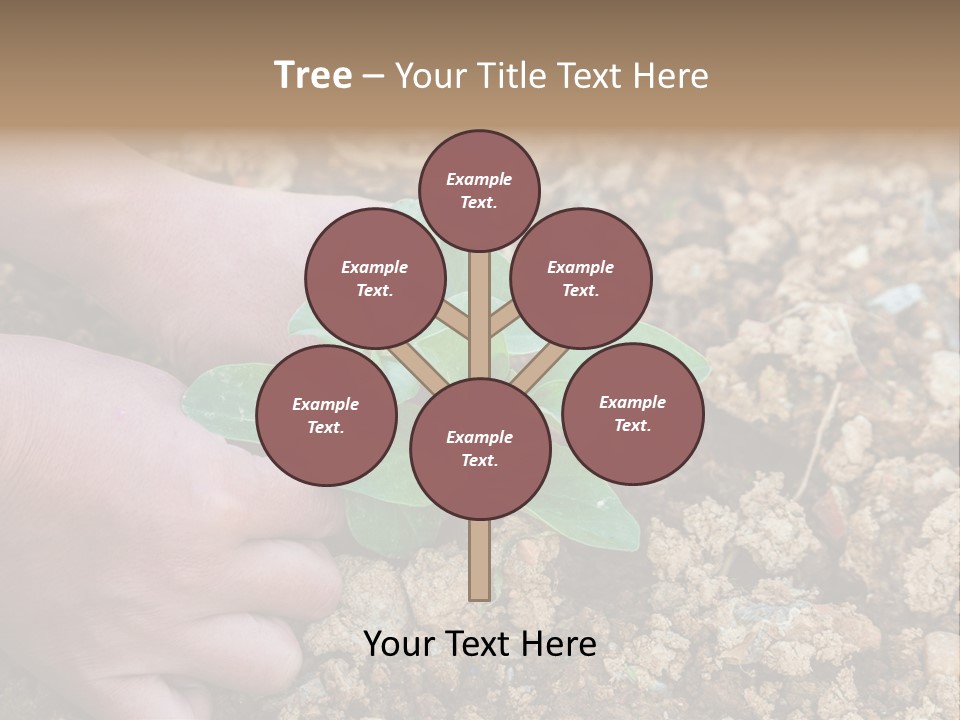 Food Tender Growth PowerPoint Template