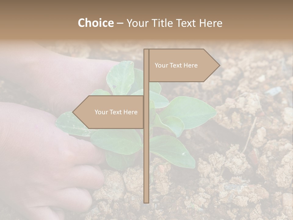Food Tender Growth PowerPoint Template