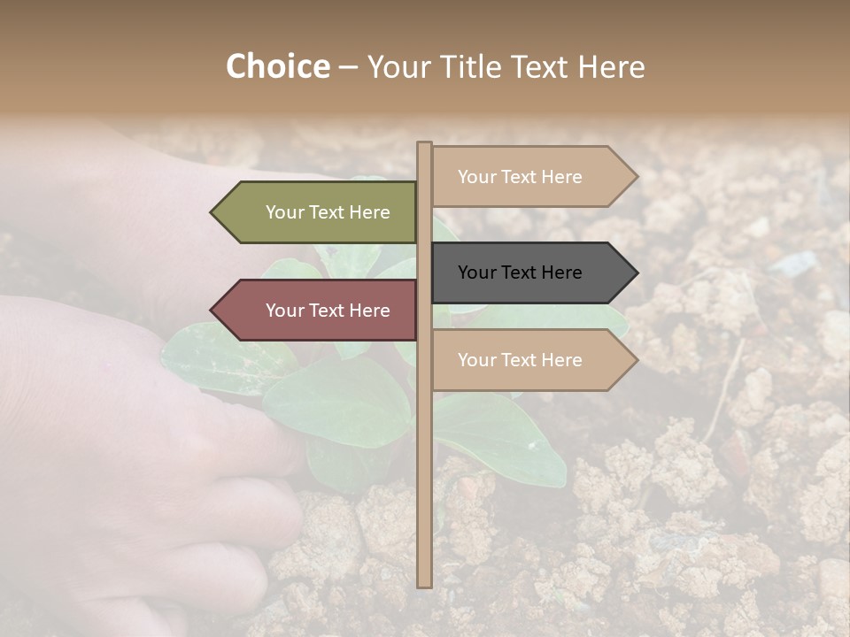 Food Tender Growth PowerPoint Template