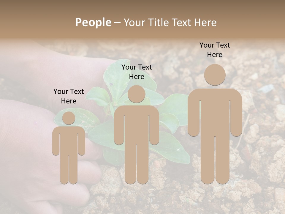 Food Tender Growth PowerPoint Template