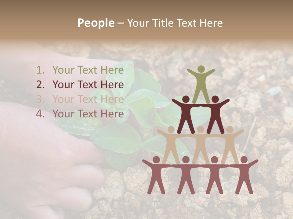 Food Tender Growth PowerPoint Template