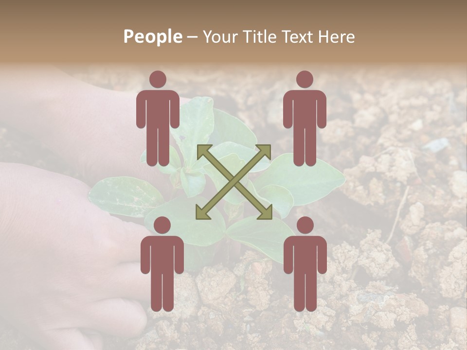 Food Tender Growth PowerPoint Template