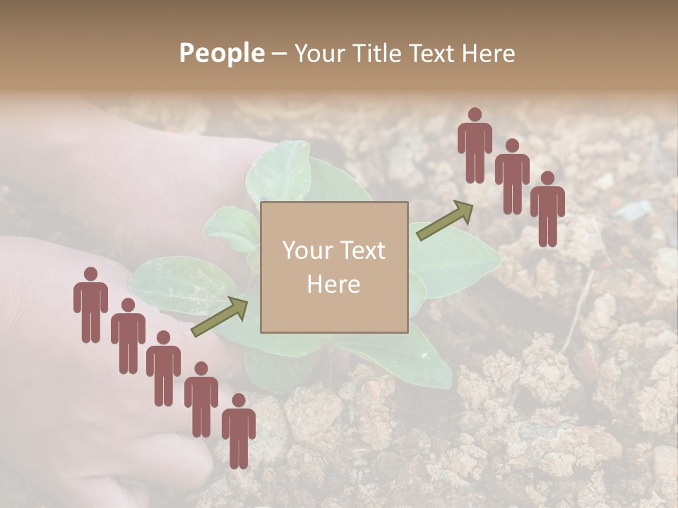 Food Tender Growth PowerPoint Template