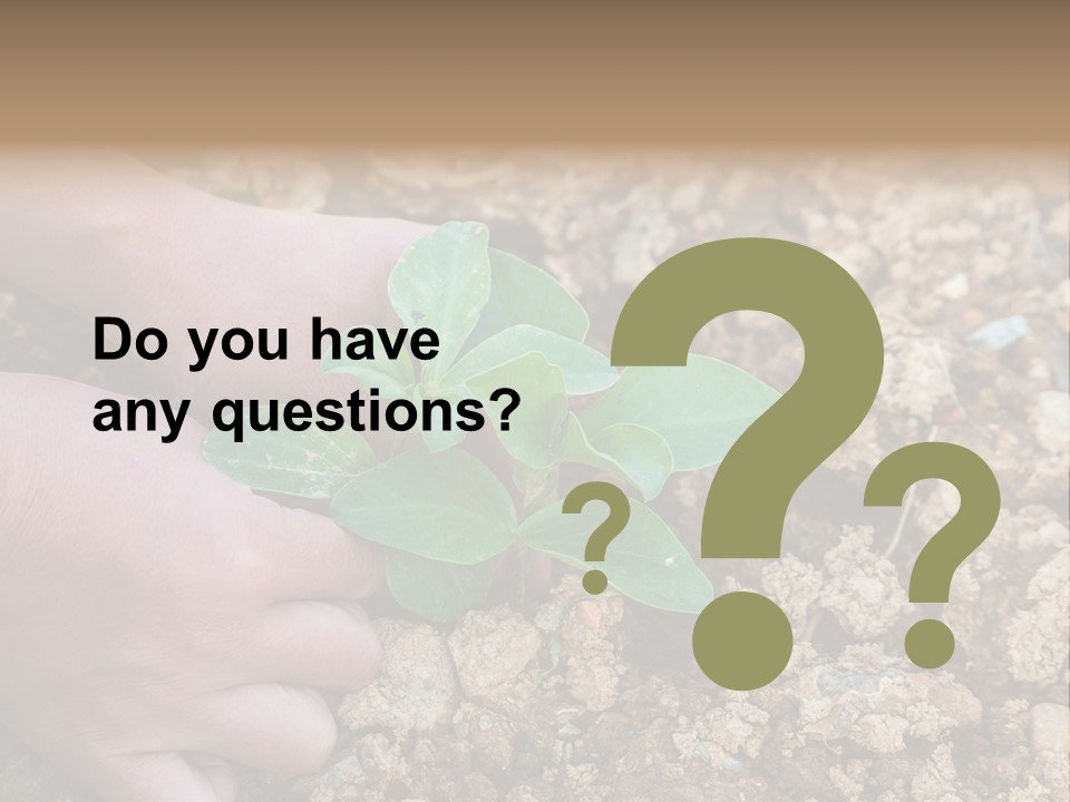 Food Tender Growth PowerPoint Template