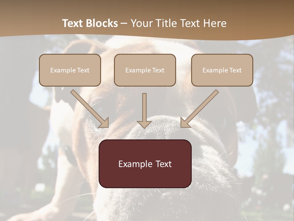 Pure Obedient Outdoors PowerPoint Template