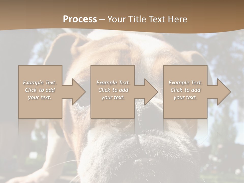 Pure Obedient Outdoors PowerPoint Template