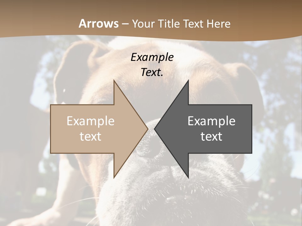 Pure Obedient Outdoors PowerPoint Template