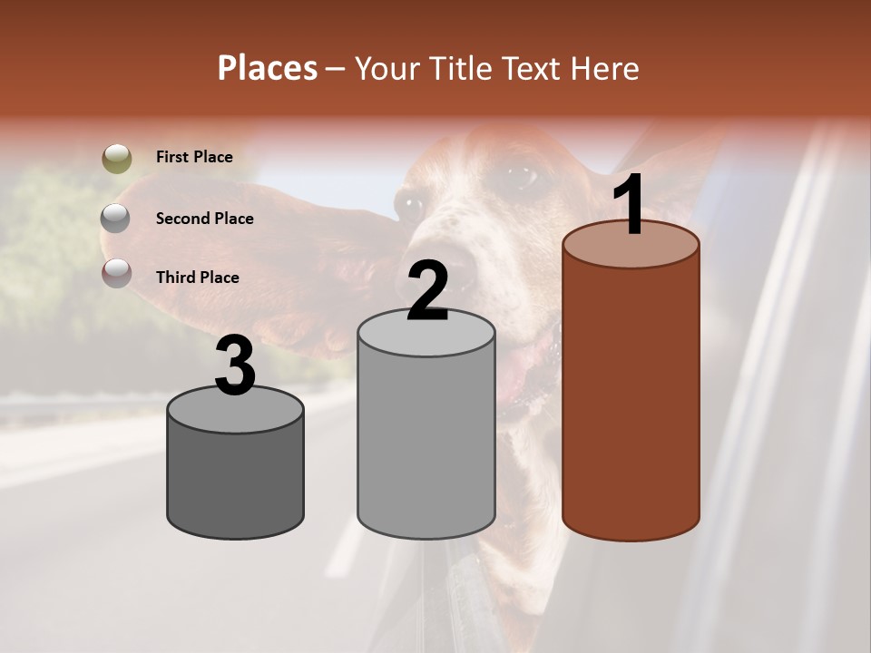 Mammal Animal Humorous PowerPoint Template