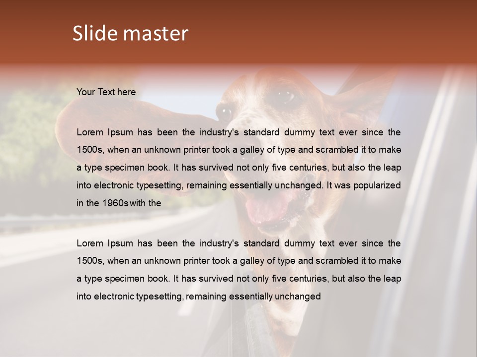 Mammal Animal Humorous PowerPoint Template