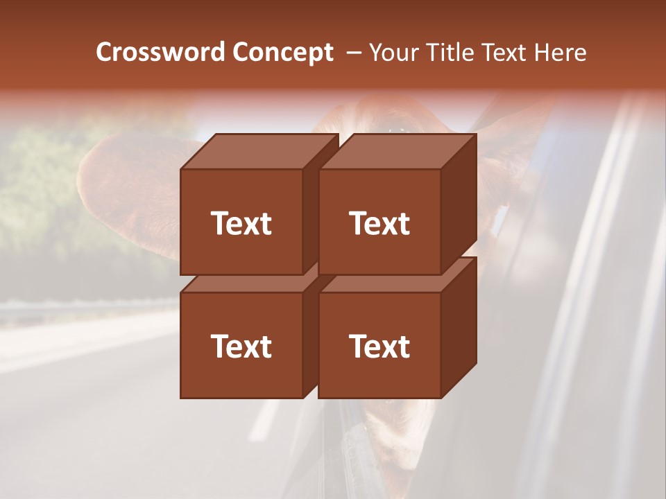 Mammal Animal Humorous PowerPoint Template