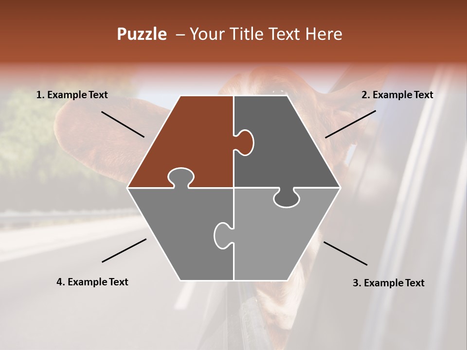 Mammal Animal Humorous PowerPoint Template