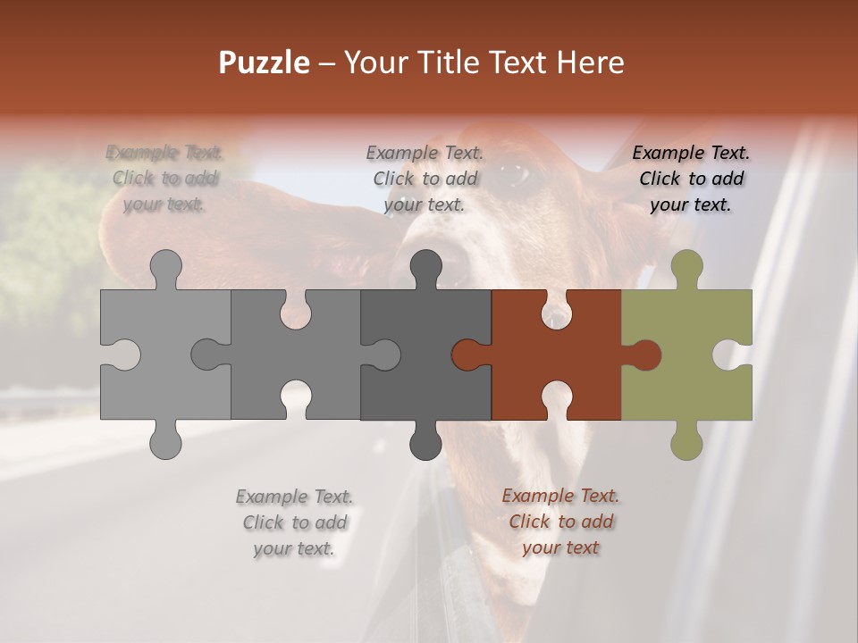 Mammal Animal Humorous PowerPoint Template