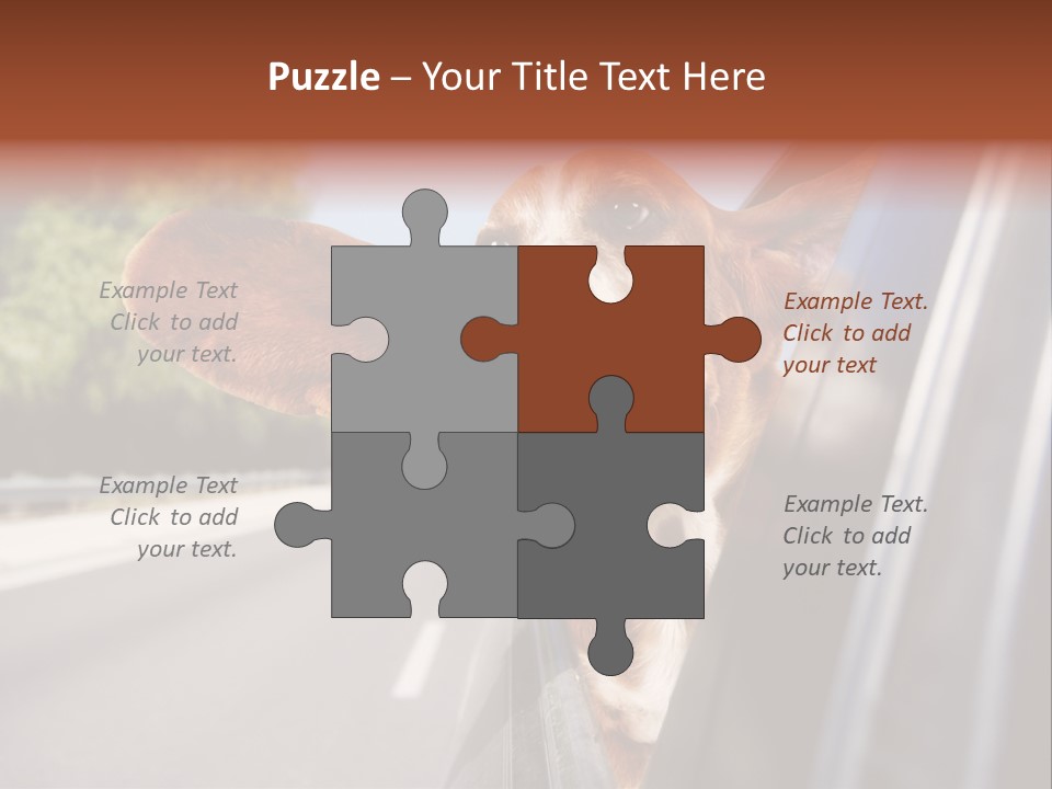 Mammal Animal Humorous PowerPoint Template