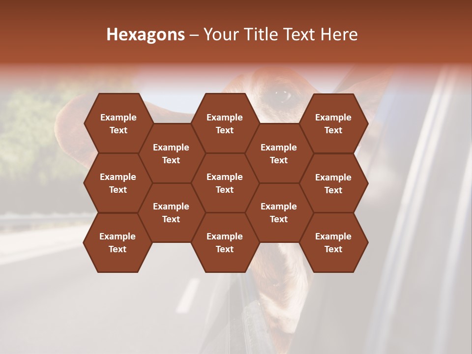 Mammal Animal Humorous PowerPoint Template