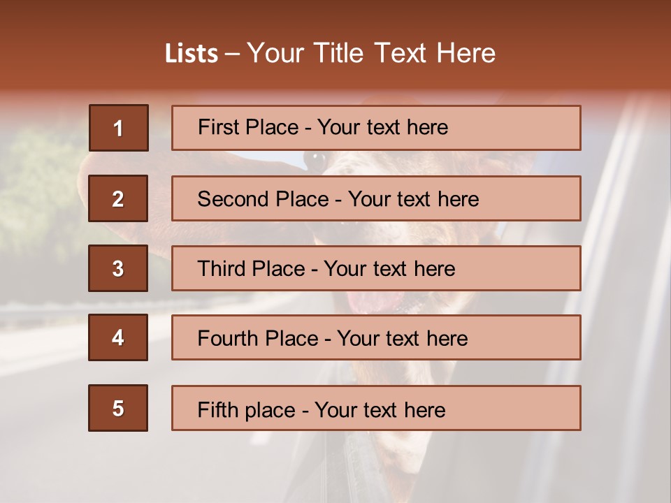 Mammal Animal Humorous PowerPoint Template