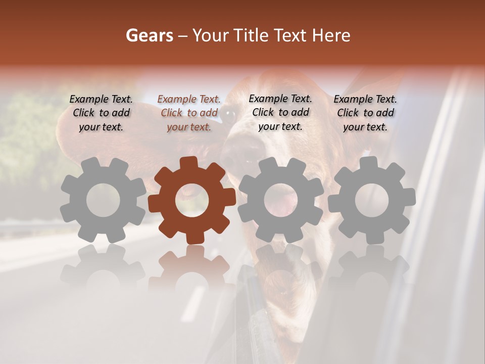 Mammal Animal Humorous PowerPoint Template