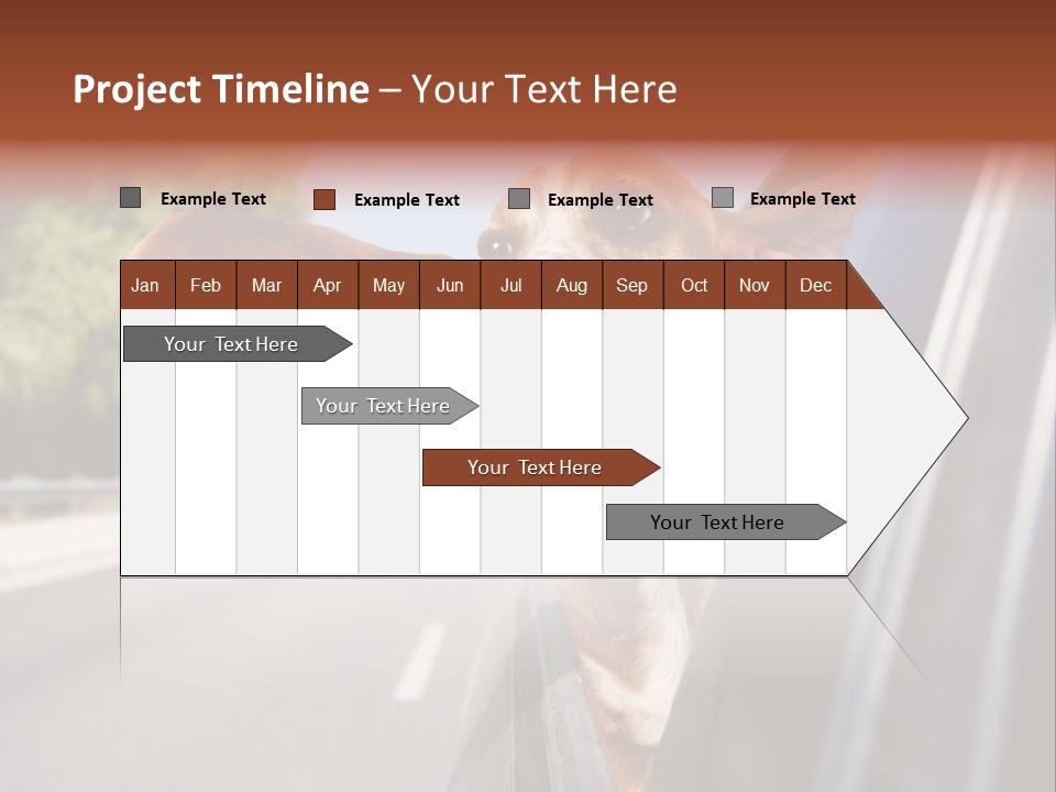 Mammal Animal Humorous PowerPoint Template