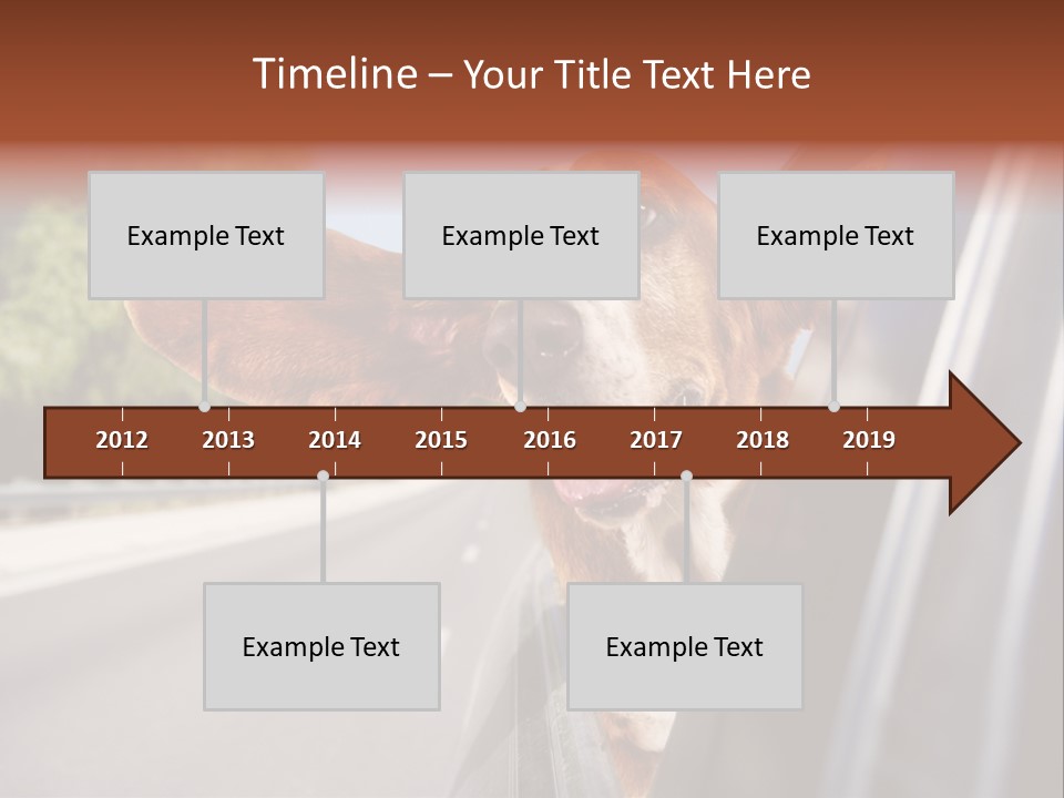 Mammal Animal Humorous PowerPoint Template