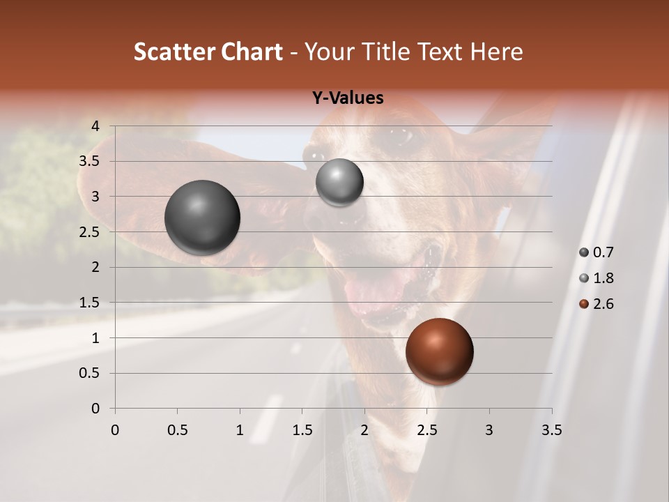 Mammal Animal Humorous PowerPoint Template
