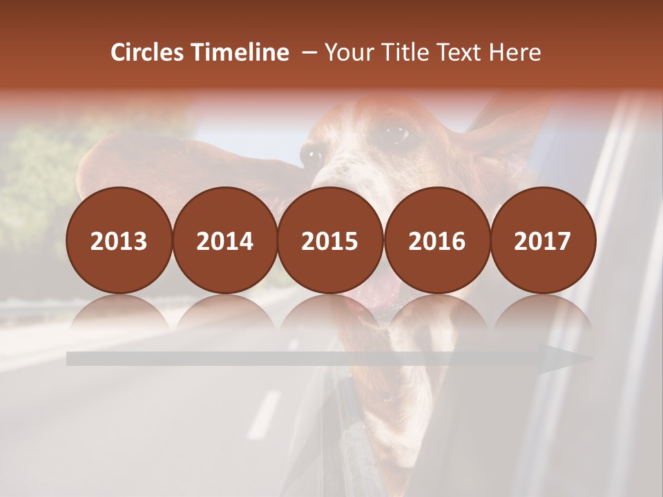 Mammal Animal Humorous PowerPoint Template