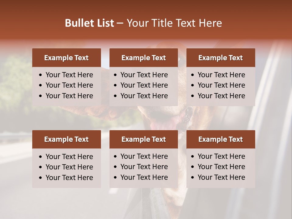 Mammal Animal Humorous PowerPoint Template