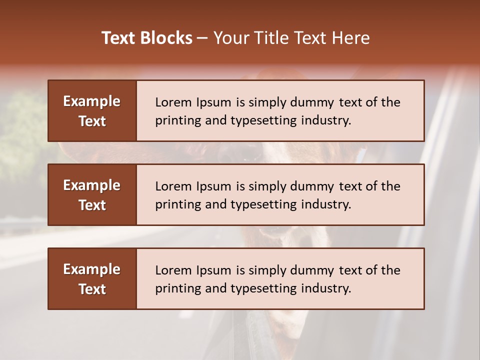 Mammal Animal Humorous PowerPoint Template