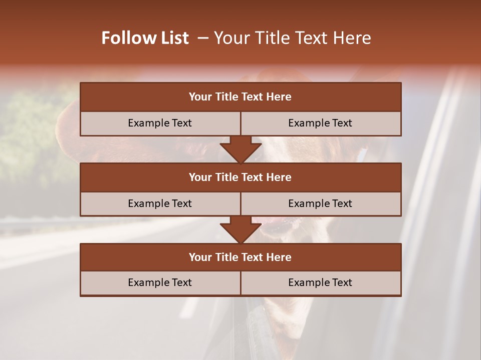 Mammal Animal Humorous PowerPoint Template